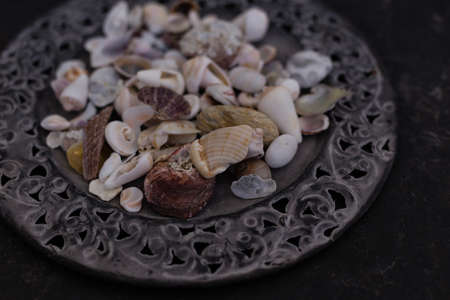 Close up of seashells of various colors and shapes placed on flat metal plate with carved frame