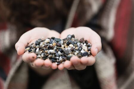 Female palms holding grey brown and white pebble with pebbles in sharp focus and palms and backgrou blurredの写真素材