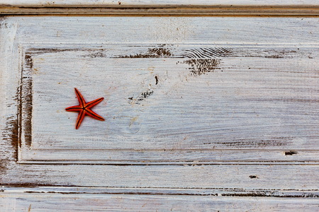 Small red seastar over white rustic background with copy spaceの写真素材