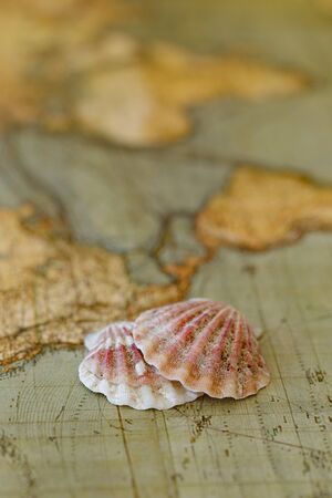 Vertical shot of two pink seashells placed on map and shot with shallow depth of fieldの写真素材