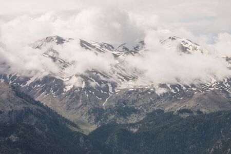Landscape with mountains covered by pine forests and snowの写真素材