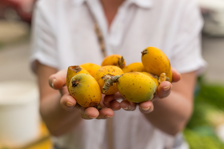 Horizontal shot of female hands holding medlar fruits. Selective focus and shallow depth of field.