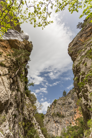 Vertical mountain landscape with cloudy sky and copy space.の写真素材