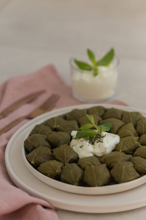 staffed grape leaves (dolma) in a ceramic plate laying on light gray tabletop and pink linen napkin. Copy space.の写真素材