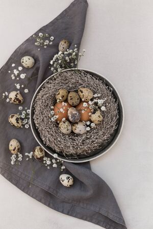 Chicken, quail eggs and gypsophila flowers in a nest and over dark linen napkin. Negative space.の写真素材