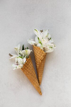 Summer concept. Ice-cream cone with white flowers in it.の写真素材