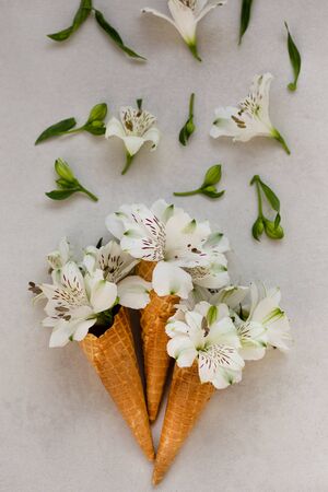 Spring or summer concept. Flowers in the ice-cream cones.の写真素材