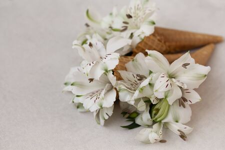 Spring or summer concept. Flowers in the ice-cream conesの写真素材