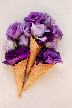 Summer or spring concept. Ice-cream cone with flowersの写真素材