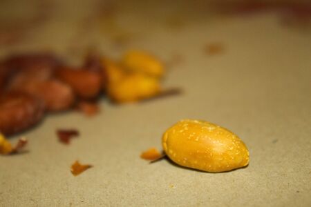 Grain of peanutの写真素材