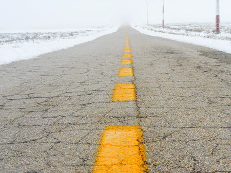 Road in the snowy land