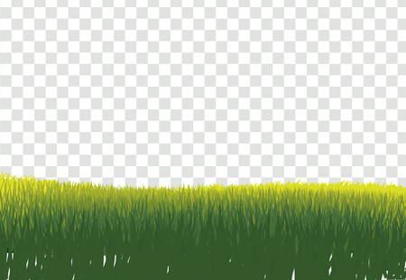 Green Grass Border, Isolated on Transparent Background, With Gradient Mesh, Vector Illustrationのイラスト素材