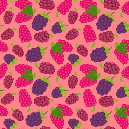 Seamless raspberry pattern with summer berries, fruits, leaves, . Vector illustrationのイラスト素材