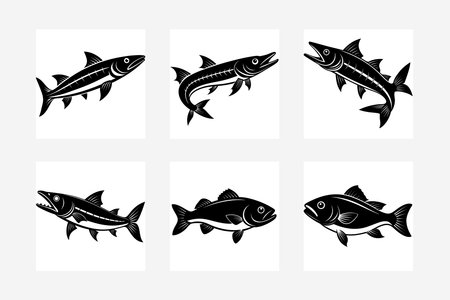 Barracuda and cod-fish vector illustration, perfect for print and digital designs.のイラスト素材