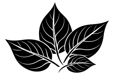 Elegant hand-drawn vector leaves illustration, perfect for nature-themed designs.のイラスト素材