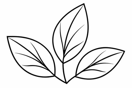 Elegant hand-drawn vector leaves illustration, perfect for nature-themed designs.のイラスト素材