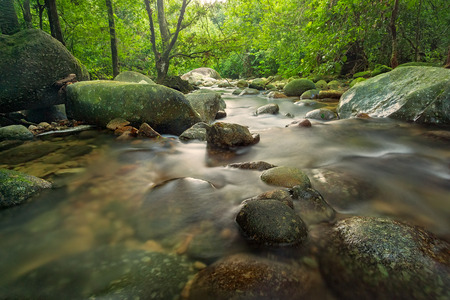 Deep Forest Waterfall At Burmese Pool, Taiping, Perak, Malaysiaの写真素材