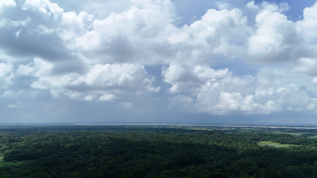 Aerial view of the forest with blue sky and white clouds.の写真素材