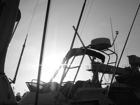 Monochrome image of the masts and tops of yachts and cruiser boats silhouetted against the sun on a...
