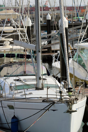 Many boats in marina photography taken under the warm afternoon sun light.