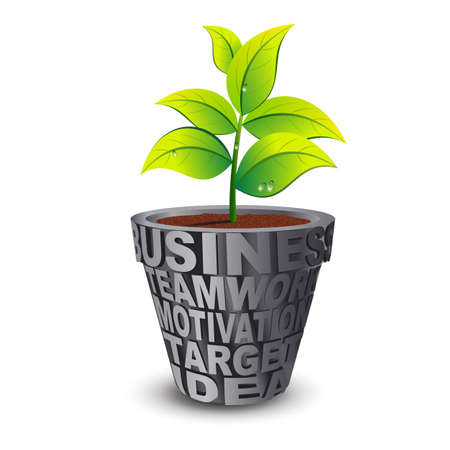 business plantの写真素材