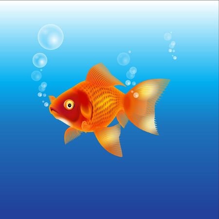 Fish with bubblesの写真素材