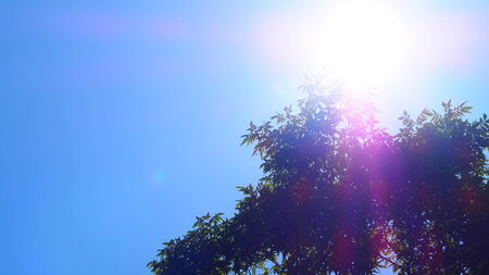 Sun Overheadの写真素材