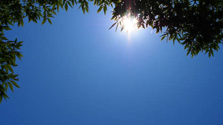 Look up at the sky    thereの写真素材