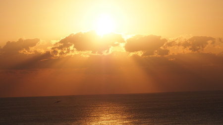 Morning sunの写真素材