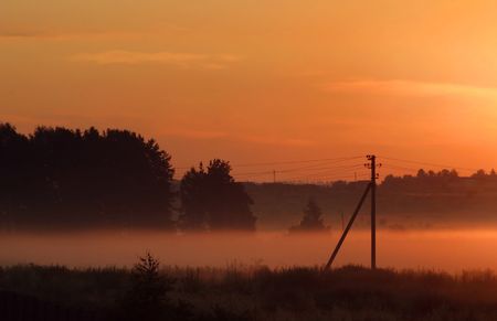 Sunrise near forest in summerの写真素材