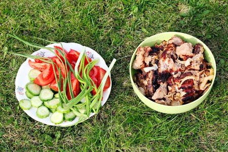 Fresh vegs and glilled meat on the green weedの写真素材