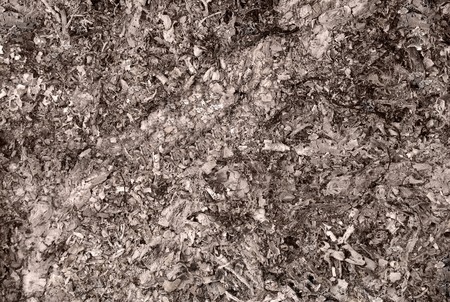 Grunge background, made by ashes