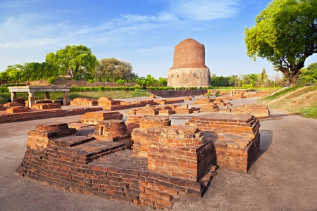 Deep tropical forest, Munnar, Indiaの写真素材