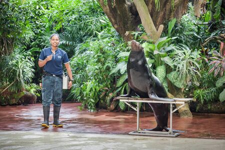 SINGAPORE - OCTOBER 16, 2014: Splash Safari Show in Singapore Zoo.のeditorial素材