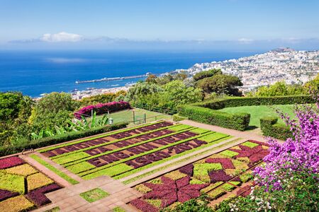 FUNCHAL, MADEIRA - JuLY 09: Funchal Botanical Gardens on July 09, 2014 in Madeira island, Portugal.のeditorial素材