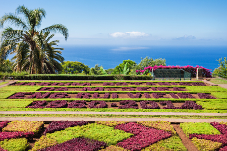 FUNCHAL, MADEIRA - JuLY 09: Funchal Botanical Gardens on July 09, 2014 in Madeira island, Portugal.のeditorial素材