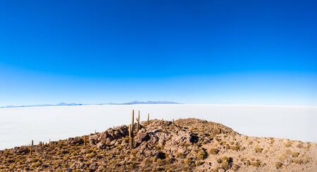 Cactus island on Salar de Uyuni (Salt Flat) near Uyuni, Boliviaの写真素材