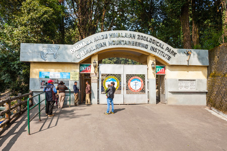 DARJEELING, INDIA - NOVEMBER 18, 2015: Padmaja Naidu Himalayan Zoological Park in Darjeeling, India.のeditorial素材