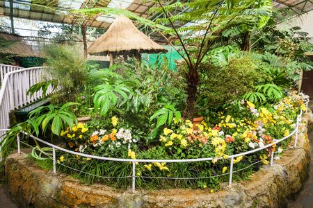 GANGTOK, INDIA - NOVEMBER 19, 2015: Flower Exhibition Centre in Gangtok, Sikkim state of India.のeditorial素材