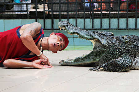 PHUKET, THAILAND - JUNE 11, 2011: A man puts his head in a crocodile's mouth in a crocodile show at Phuket Zoo in Phuket, Thailand.のeditorial素材