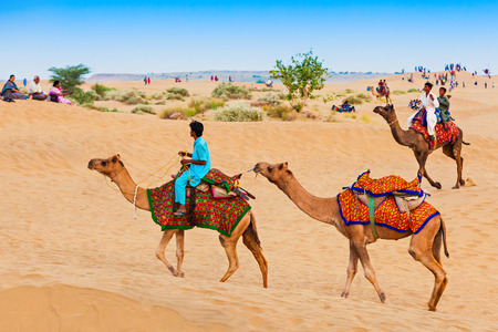 JAISALMER, INDIA - OCTOBER 13: Unidenfified people and camels in Thar desert on October 13, 2013, Jaisalmer, India.のeditorial素材