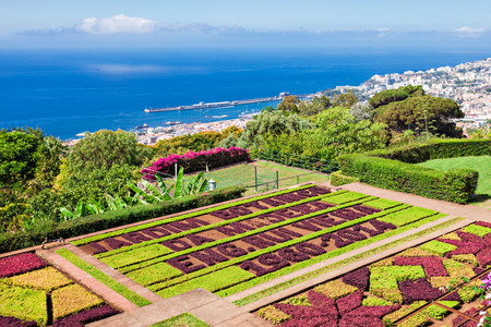 FUNCHAL, MADEIRA - JuLY 09: Funchal Botanical Gardens on July 09, 2014 in Madeira island, Portugal.のeditorial素材