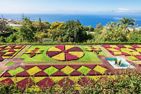 FUNCHAL, MADEIRA - JuLY 09: Botanical Gardens Madeira on July 09, 2014 in Madeira, Portugal.のeditorial素材