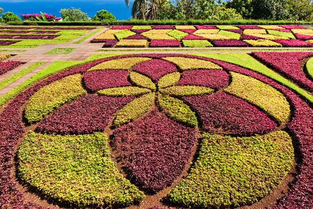 FUNCHAL, MADEIRA - JuLY 09: Funchal Botanical Gardens on July 09, 2014 in Madeira island, Portugal.のeditorial素材