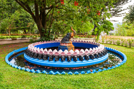 KANDY, SRI LANKA - FEBRUARY 20, 2017: Kandy Royal Palace Park is located in Kandy City, Sri Lanka. Royal Palace Park is a public park in the center of Kandy.のeditorial素材