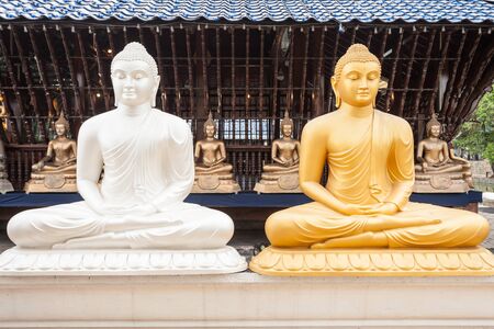 Buddha statues at the Seema Malaka buddhist temple on Beira Lake,  Colombo, Sri Lanka. Seema Malaka is a part of Gangaramaya Temple.の写真素材