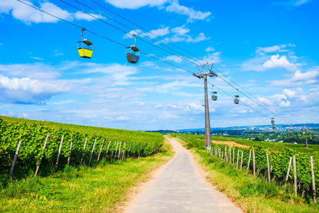 Cable car and vineyards in Rudesheim am Rhein town in the Rhine Valley, Germanyの写真素材