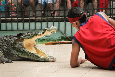 PHUKET, THAILAND - DECEMBER 11, 2010: Crocodile show in Phuket island zoo in Thailandのeditorial素材