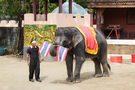 PHUKET, THAILAND - DECEMBER 11, 2010: Elephant show in Phuket island zoo in Thailandのeditorial素材
