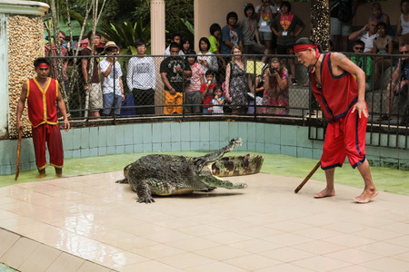 PHUKET, THAILAND - DECEMBER 11, 2010: Crocodile show in Phuket island zoo in Thailandのeditorial素材